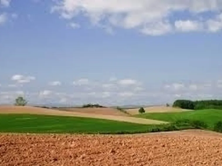 lavori nel orto giugno-6