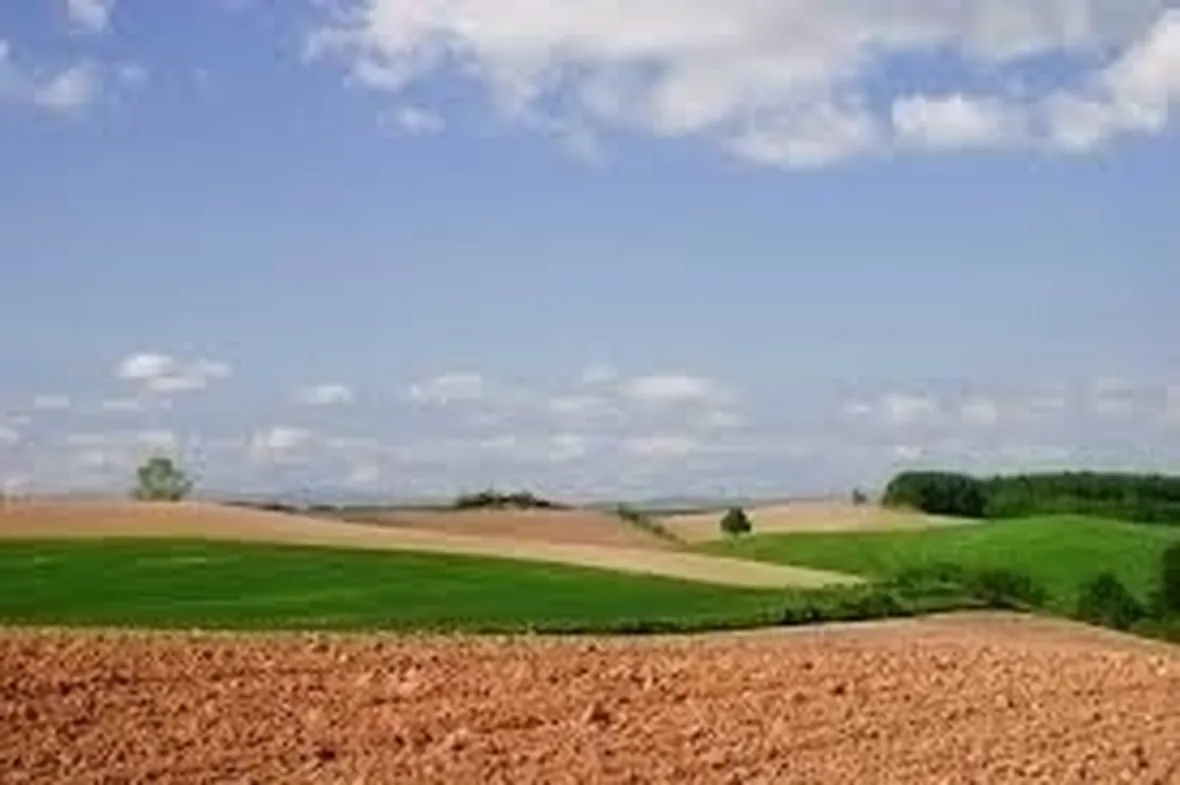 lavori nel orto giugno-6