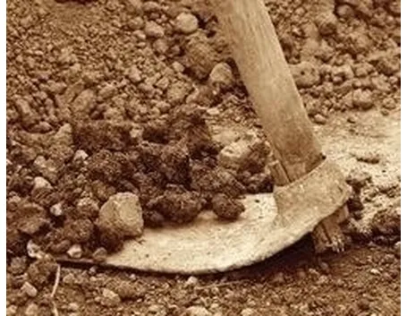 lavori nel orto maggio-2
