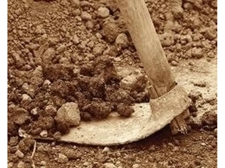 lavori nel orto maggio-2
