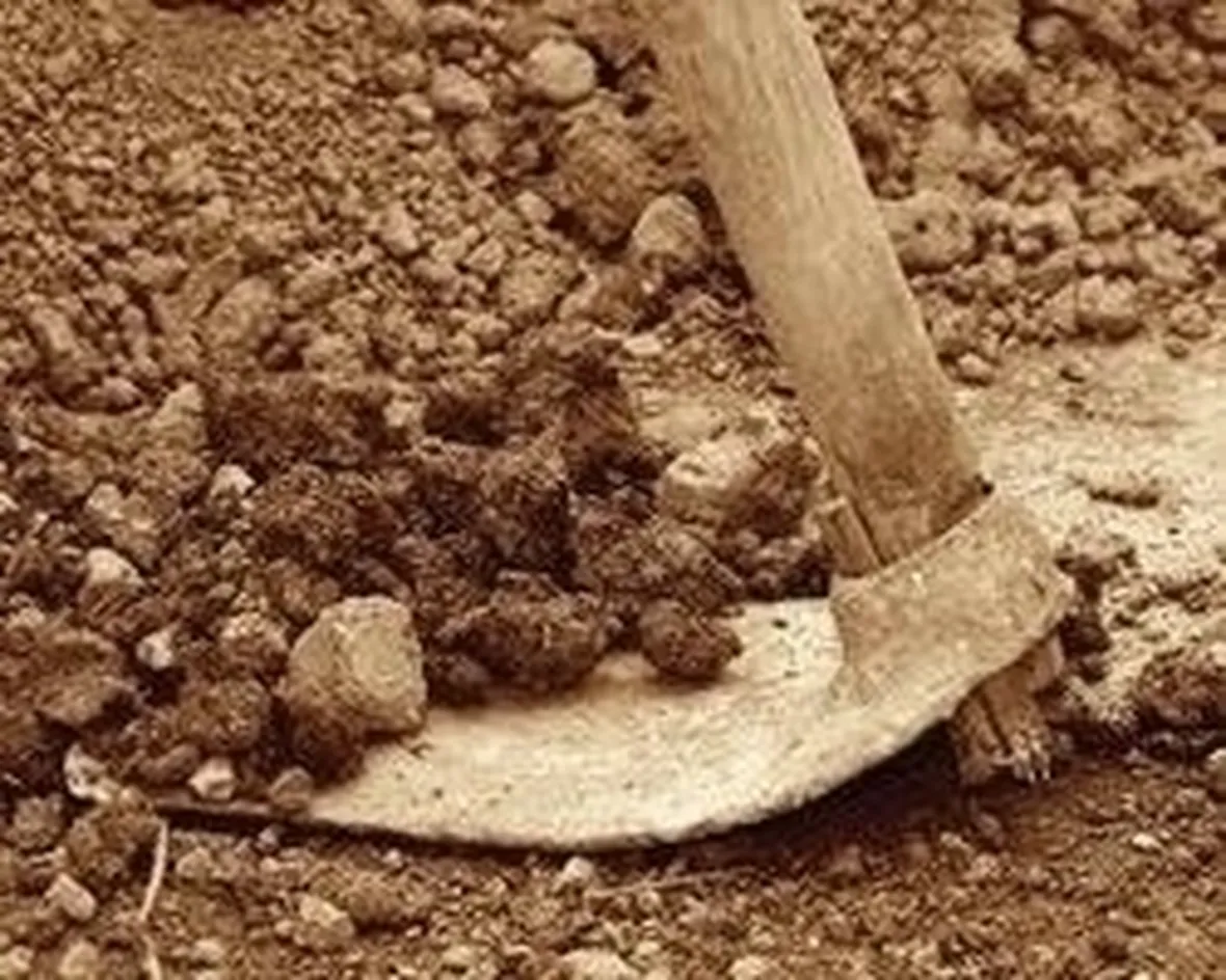 lavori nel orto maggio-2