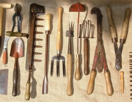 lavori nel orto maggio-6