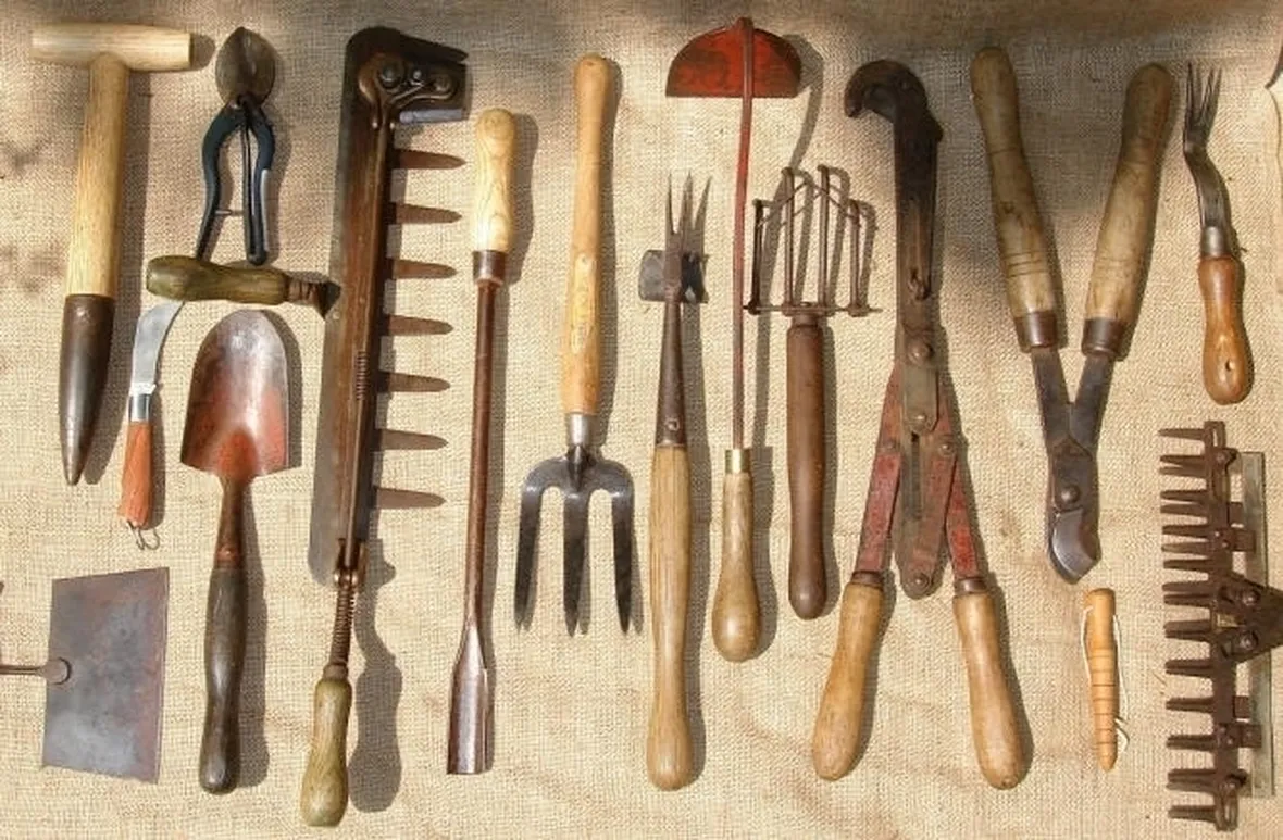 lavori nel orto maggio-6