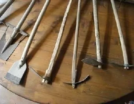 lavori nel orto maggio-7