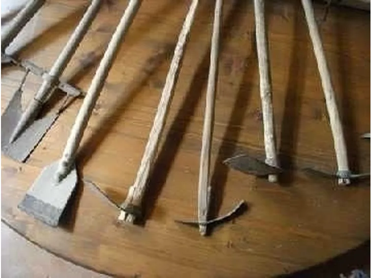 lavori nel orto maggio-7
