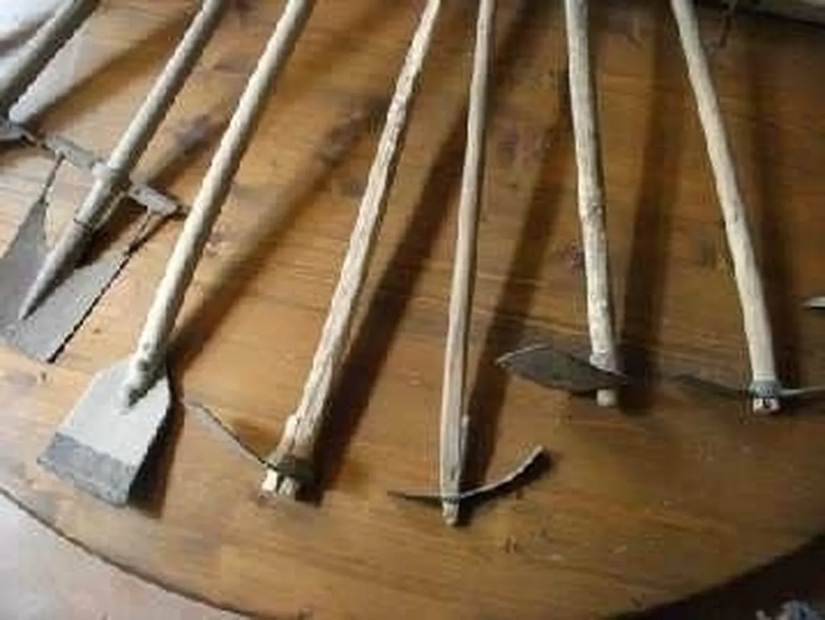 lavori nel orto maggio-7