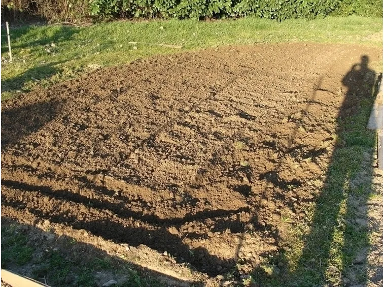 lavori nel orto marzo-7