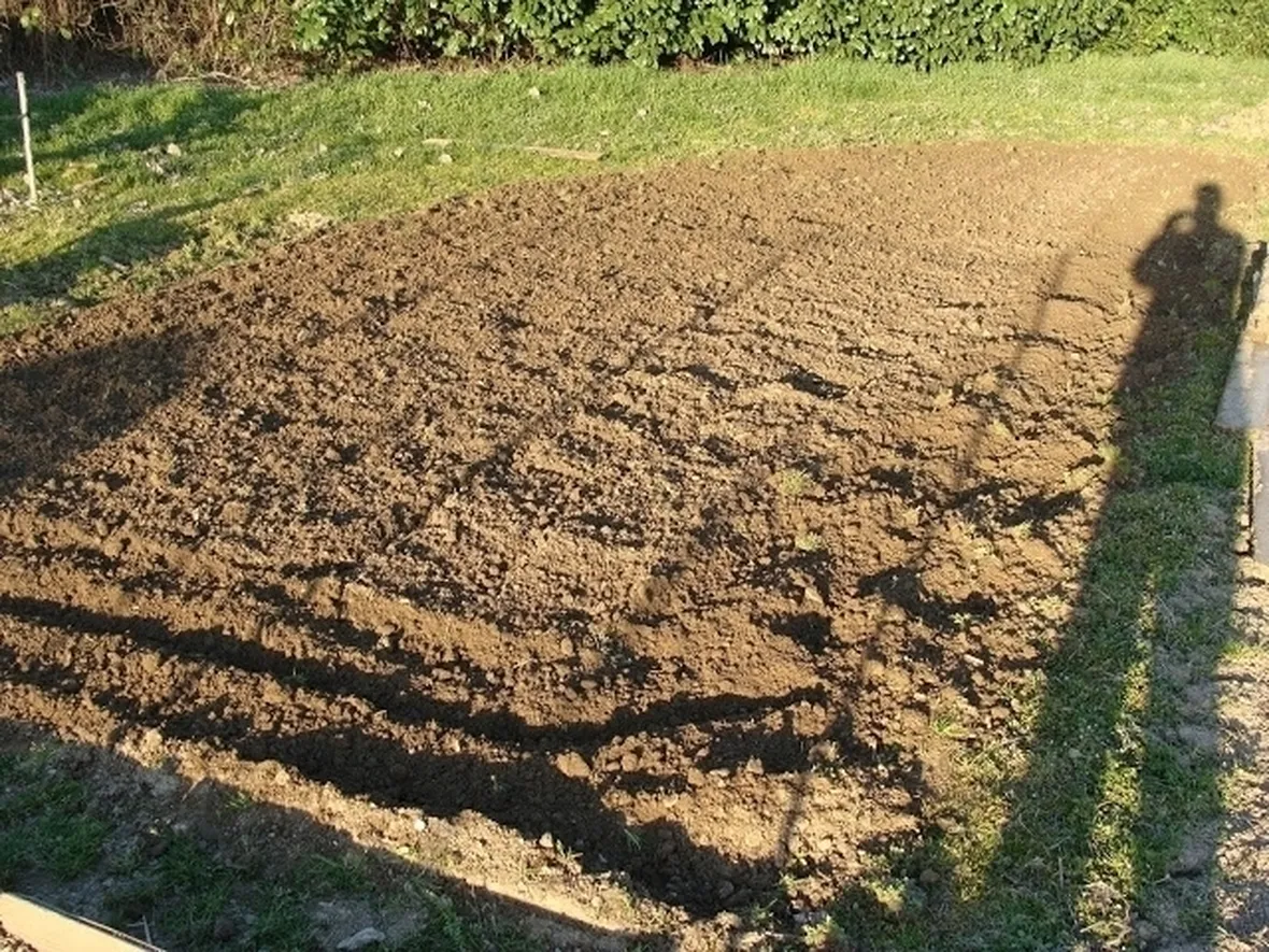 lavori nel orto marzo-7