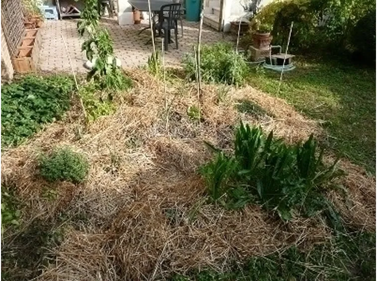 lavori nel orto ottobre-2