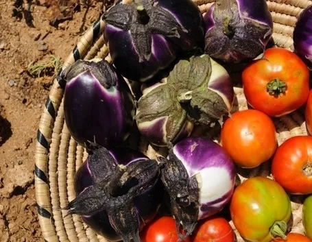 lavori nel orto ottobre-4