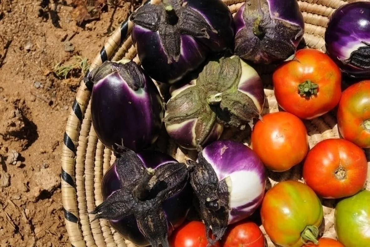 lavori nel orto ottobre-4