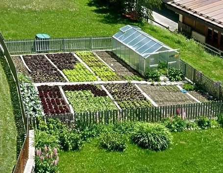 lavori nel orto settembre-7