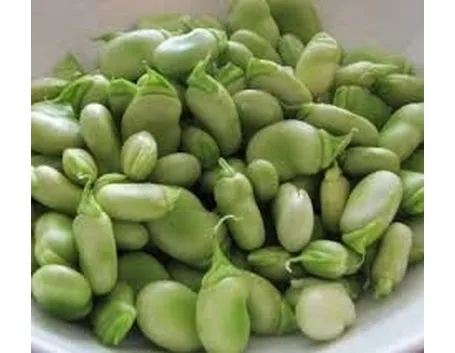 Fava-4