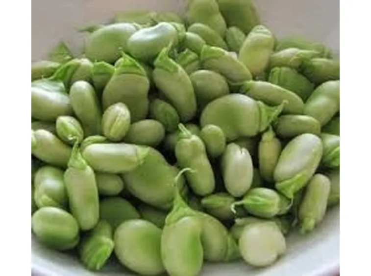 Fava-4