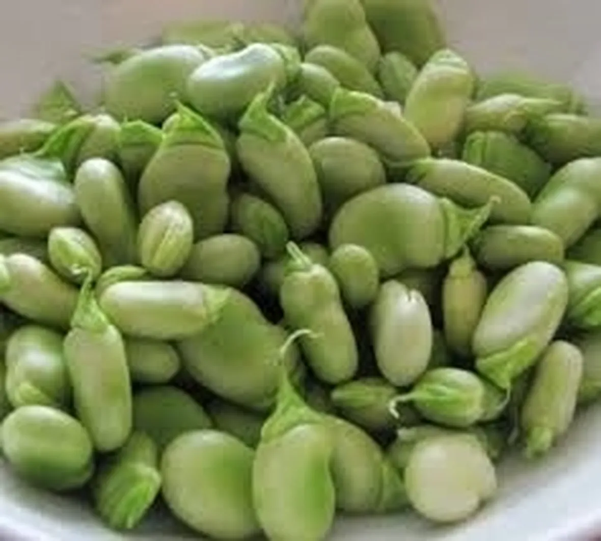 Fava-4