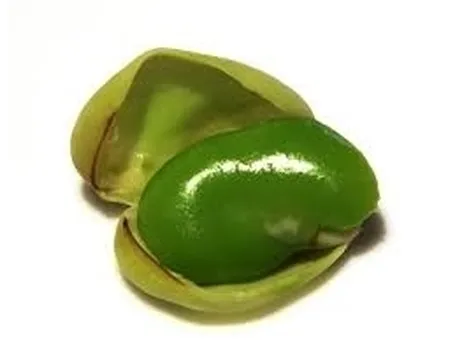 Fava-5