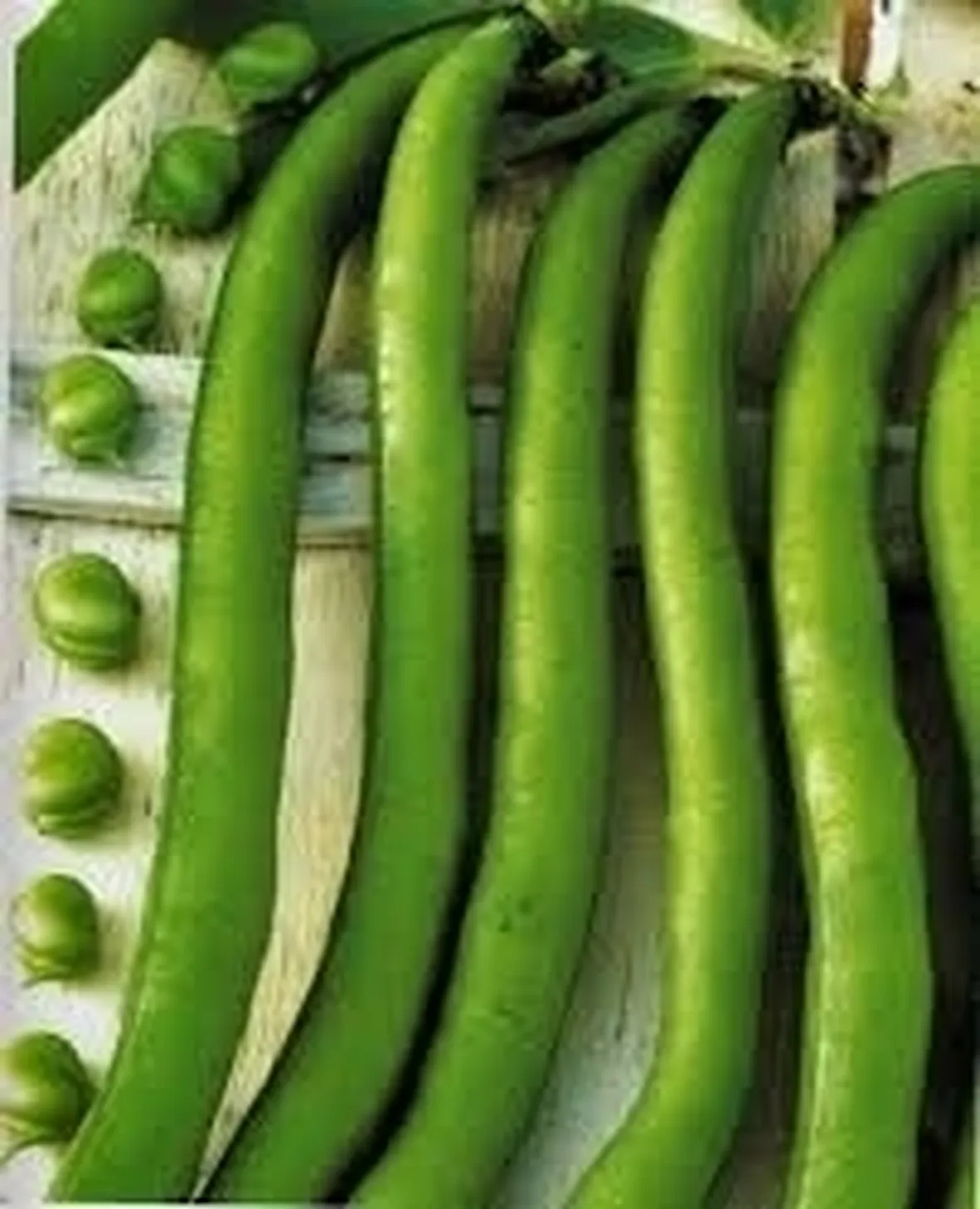 Fava-6