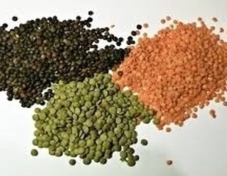 Generalità lenticchia d'acqua