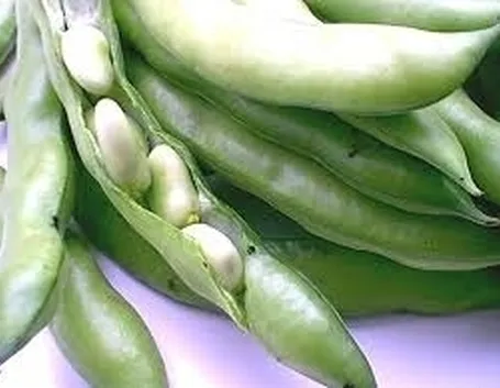 La Fava