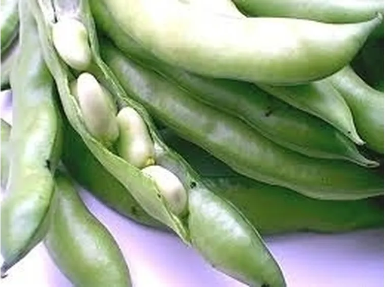 La Fava