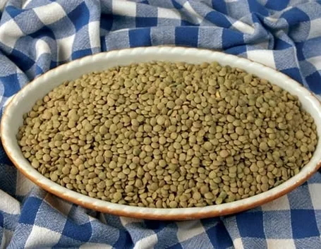 Lenticchia-8
