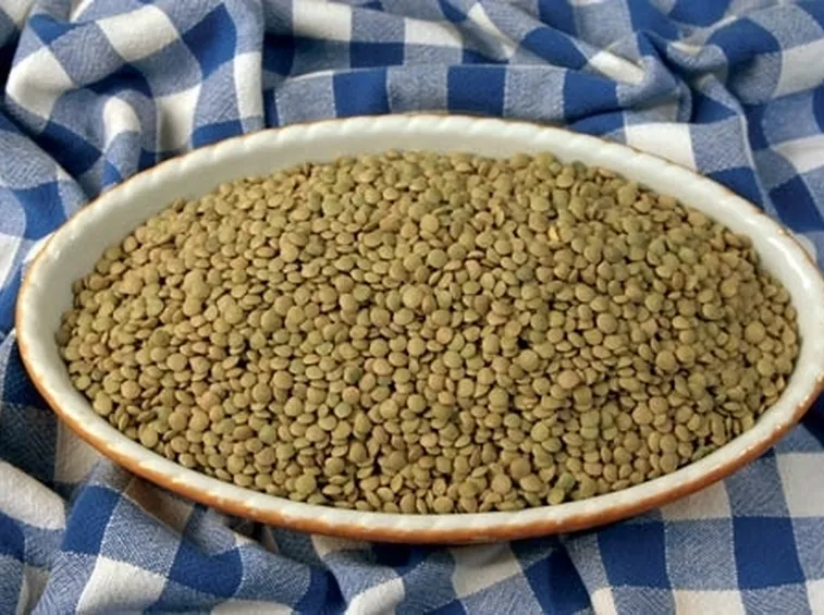 Lenticchia-8
