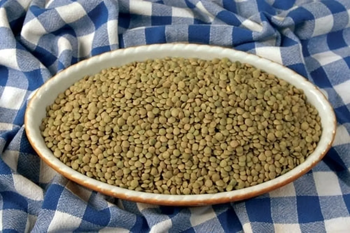 Lenticchia-8