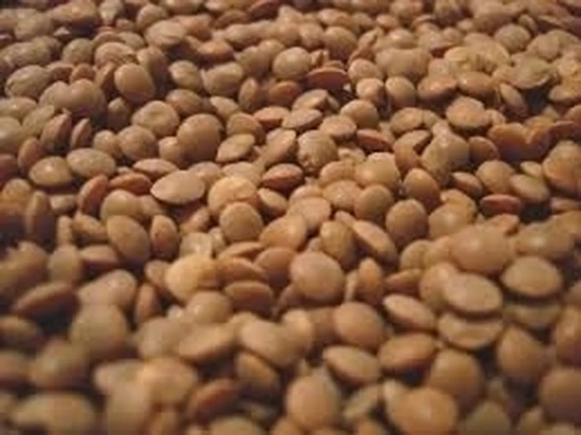 Lenticchia-9