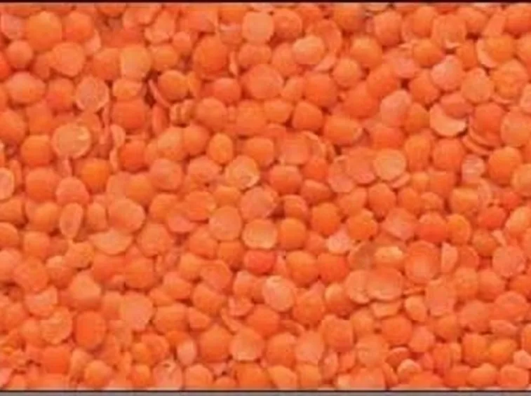 Lenticchia