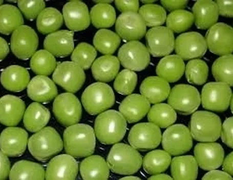 Pisello-9