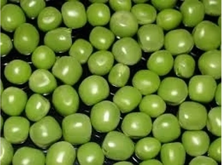 Pisello-9