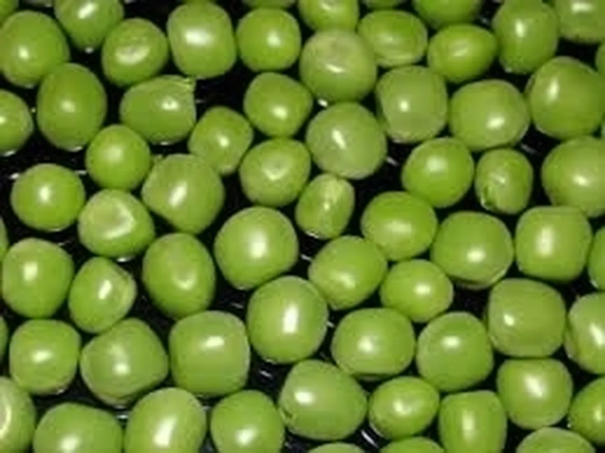 Pisello-9