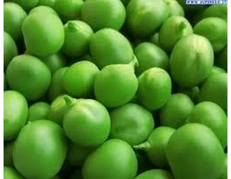 Pisello