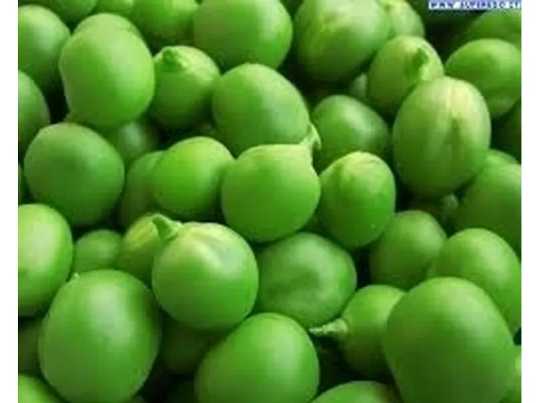 Pisello