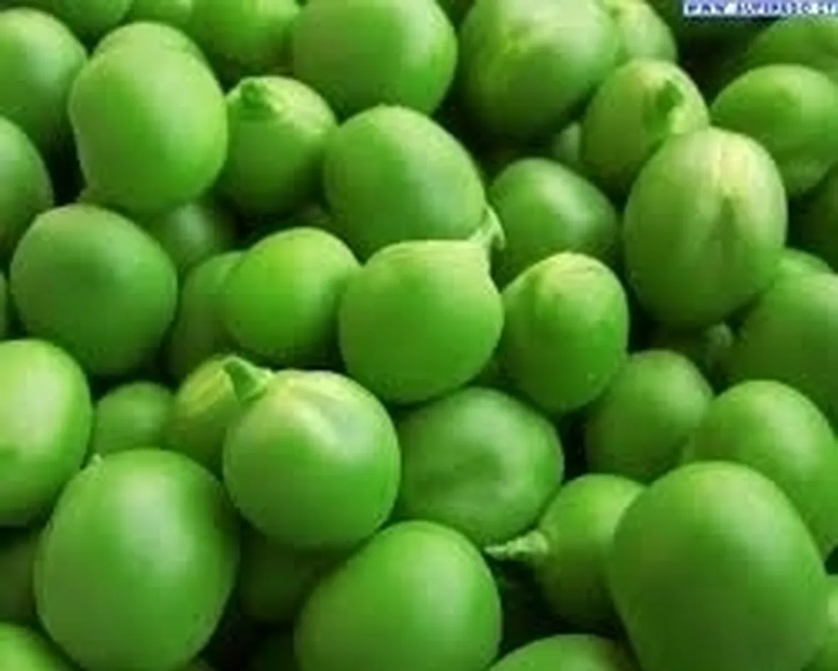 Pisello