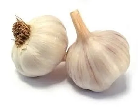 Aglio