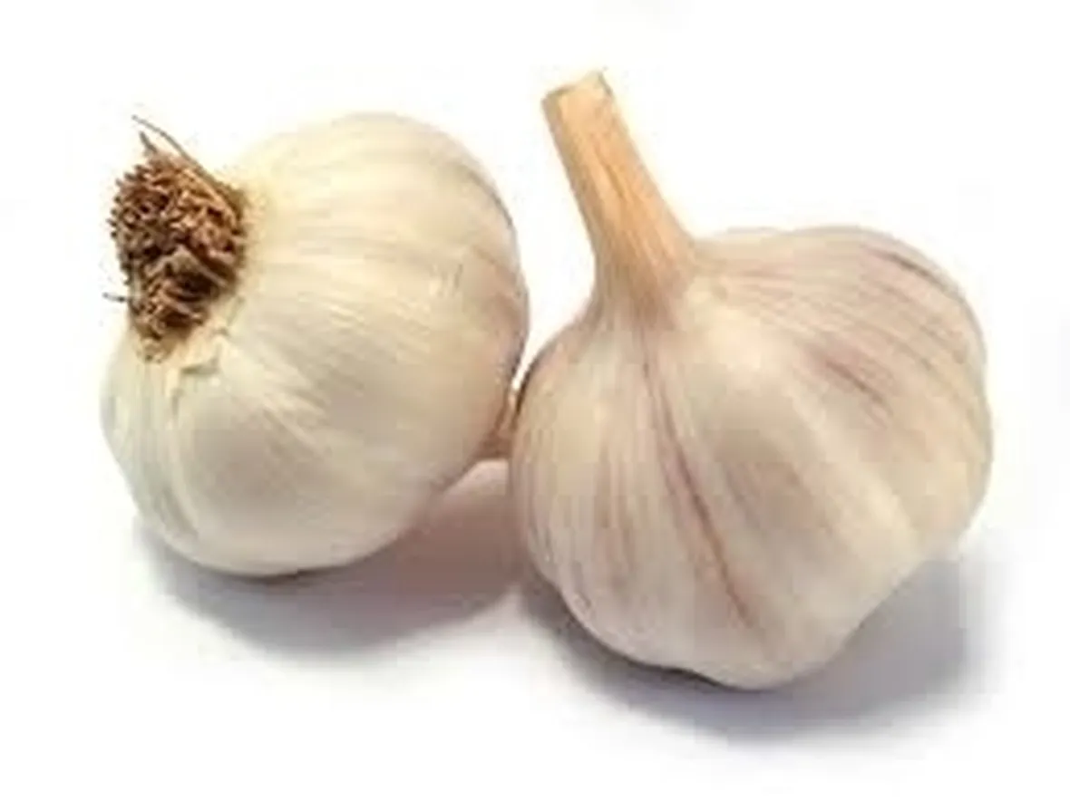 Aglio