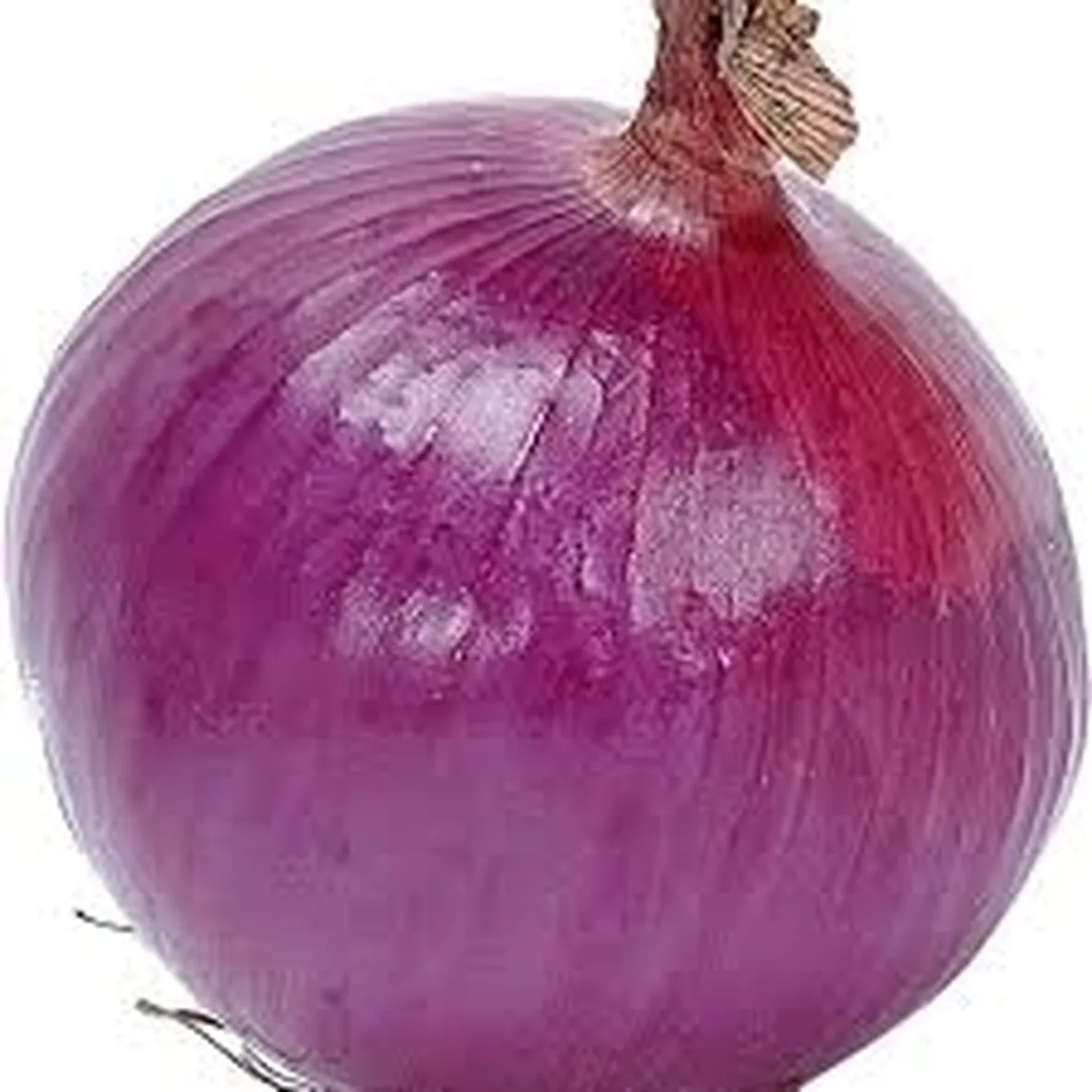 Cipolla-7