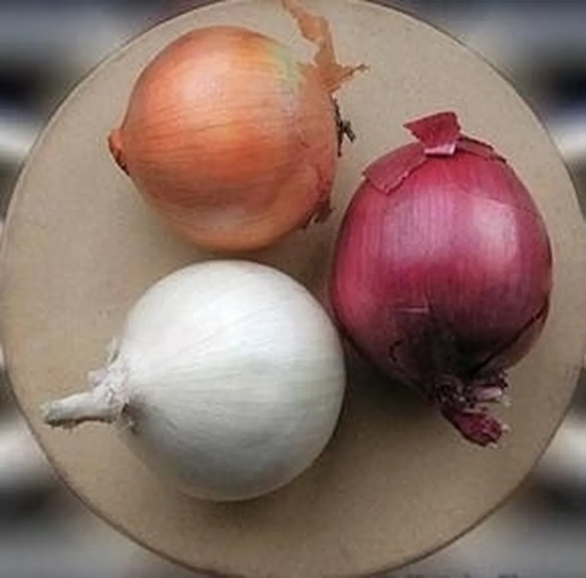 Cipolla
