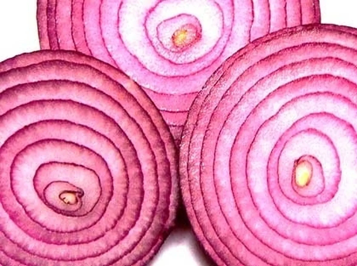 Cipolla