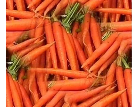 carota-9