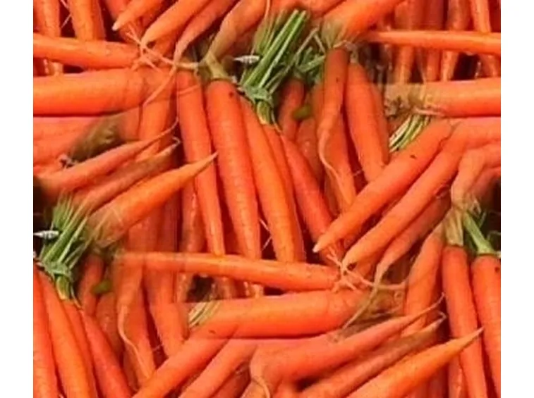 carota-9