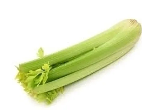Il sedano in cucina