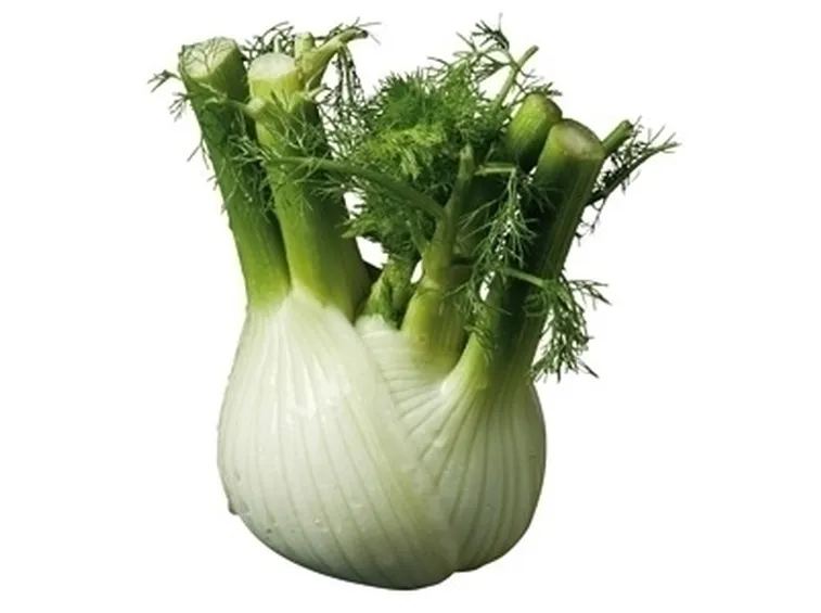 Risposta : finocchio