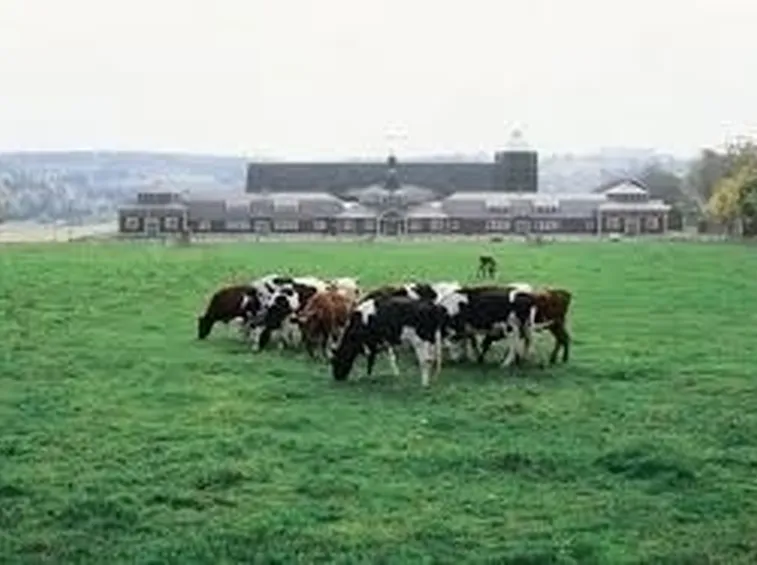 agricoltura biologica-9
