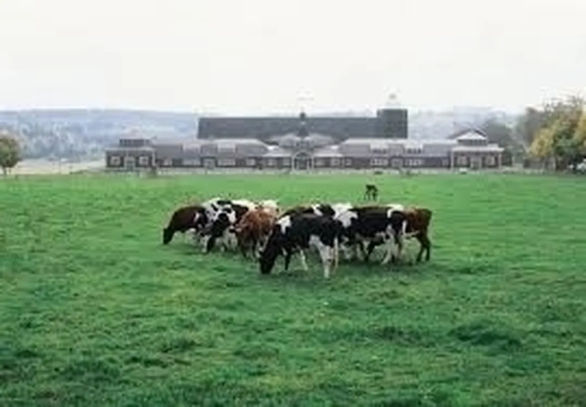 agricoltura biologica-9