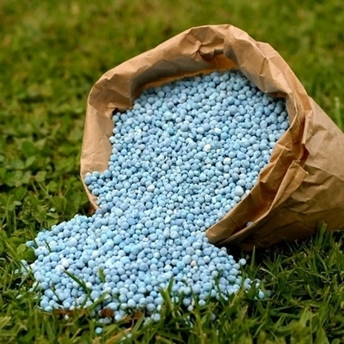 Alcuni mezzi usati dall'agricoltura biologica