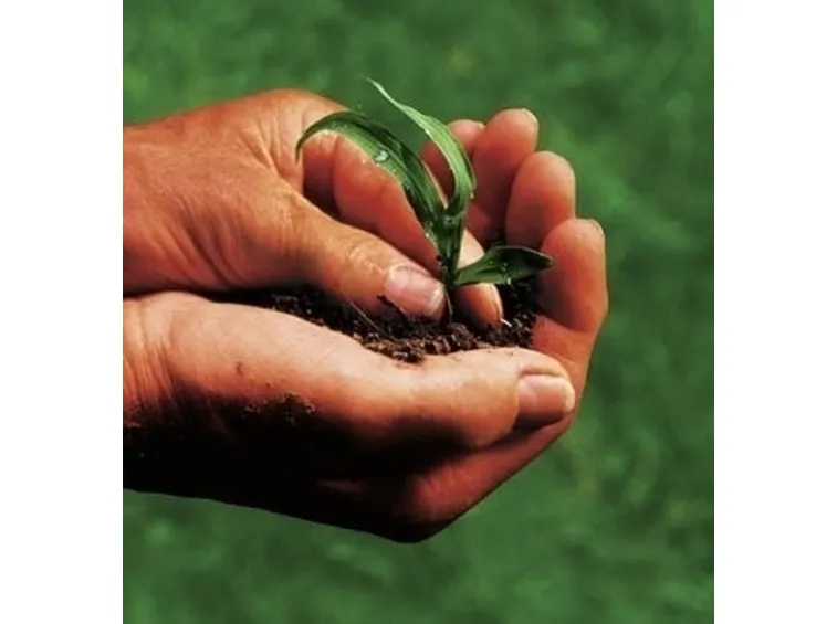 Aziende agricoltura biologica