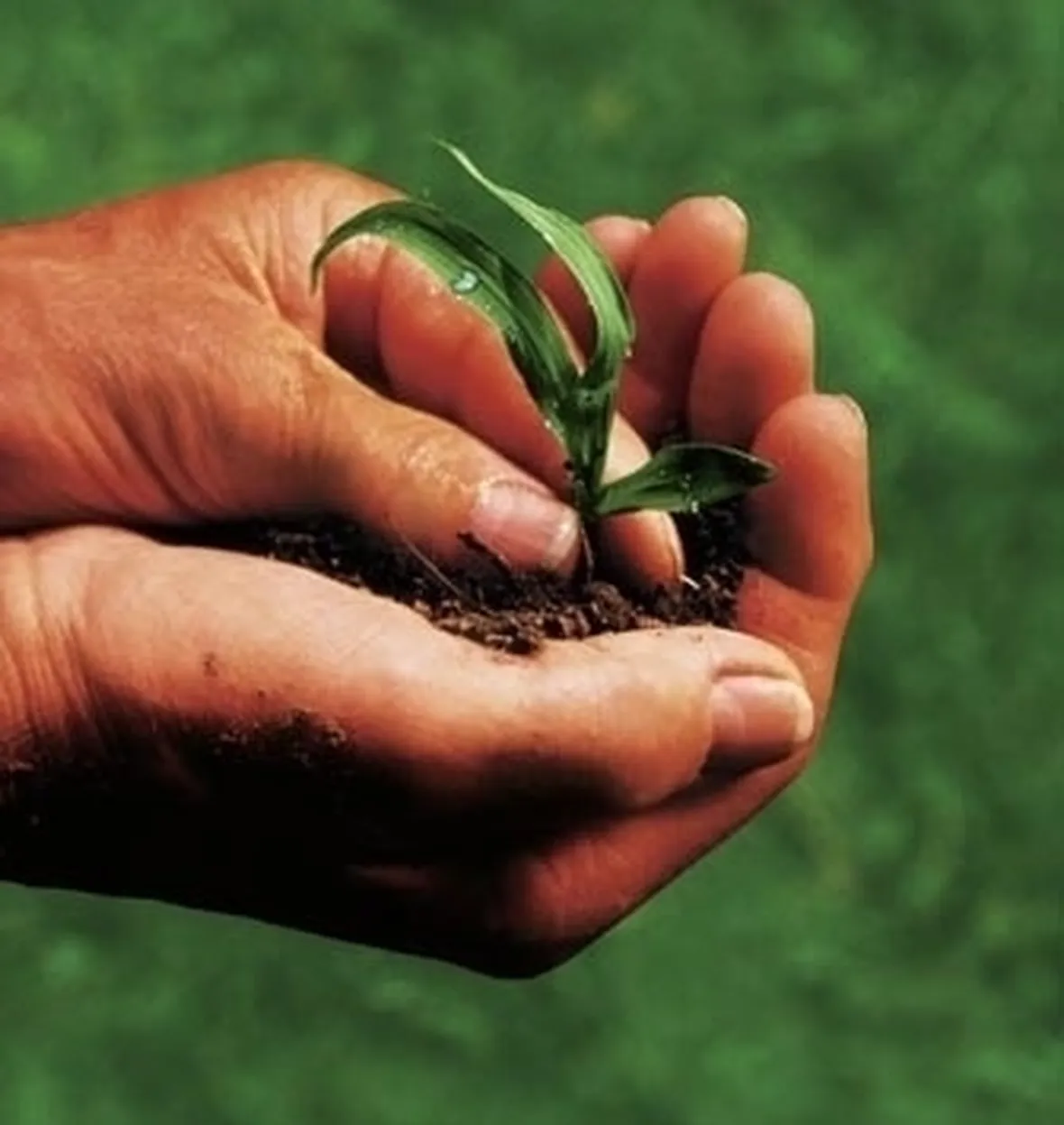 Aziende agricoltura biologica
