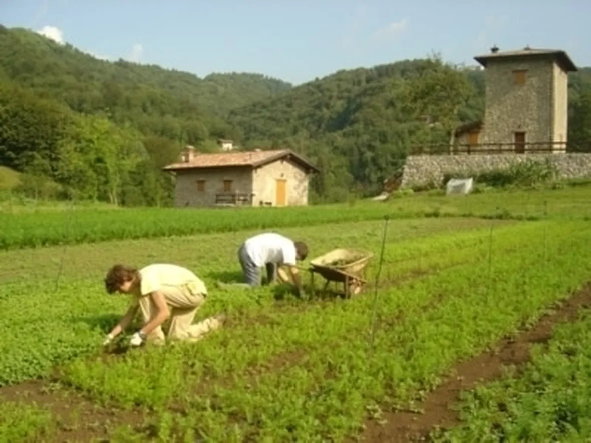 Elenco dei fertilizzanti consentiti in agricoltura biologica